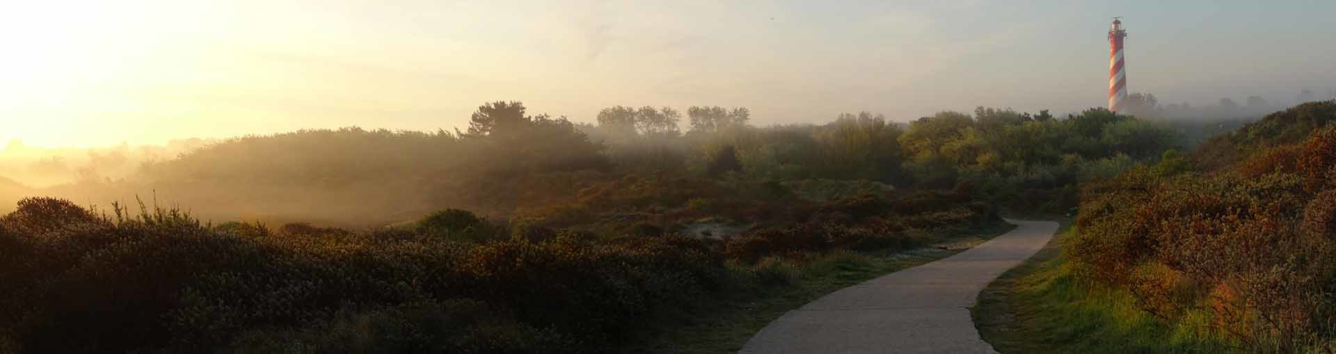 Duinen van Burgh-Haamstede