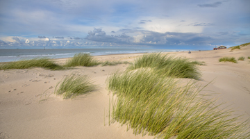 Strand van Burgh-Haamstede